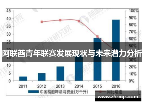 阿联酋青年联赛发展现状与未来潜力分析