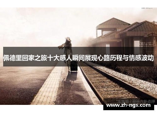 佩德里回家之旅十大感人瞬间展现心路历程与情感波动