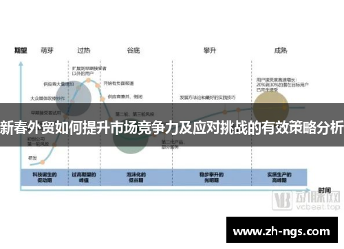 新春外贸如何提升市场竞争力及应对挑战的有效策略分析