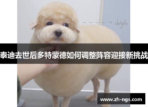 泰迪去世后多特蒙德如何调整阵容迎接新挑战