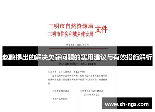 赵鹏提出的解决欠薪问题的实用建议与有效措施解析