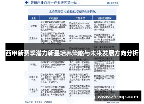 西甲新赛季潜力新星培养策略与未来发展方向分析